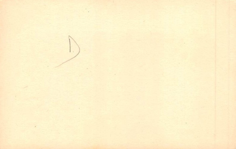 Non PC Backing Nude View Images