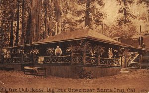 Big Tree Grove Club House, Santa Cruz, CA M.C. Hopkins 1912 Vintage Postcard