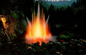 Canada Victoria Butchart Gardens The Fountain At Night