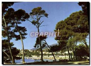 Postcard Modern Lumiere Et Beaute De La Cote D & # 39Azur Carqueiranne Les Pi...