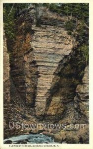 Elephant's Head in AUSA ble Chasm, New York