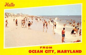 Hello from Ocean City Greetings from, Maryland MD