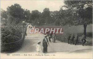 Postcard Old London hyde park feeding the pigeons