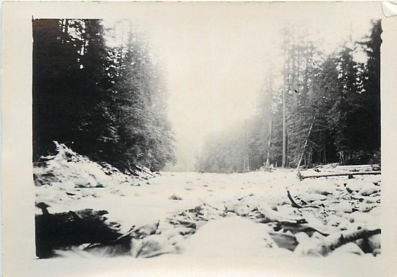 Real photo 6x9cm Capilano Canyon Vancouver BC Canada