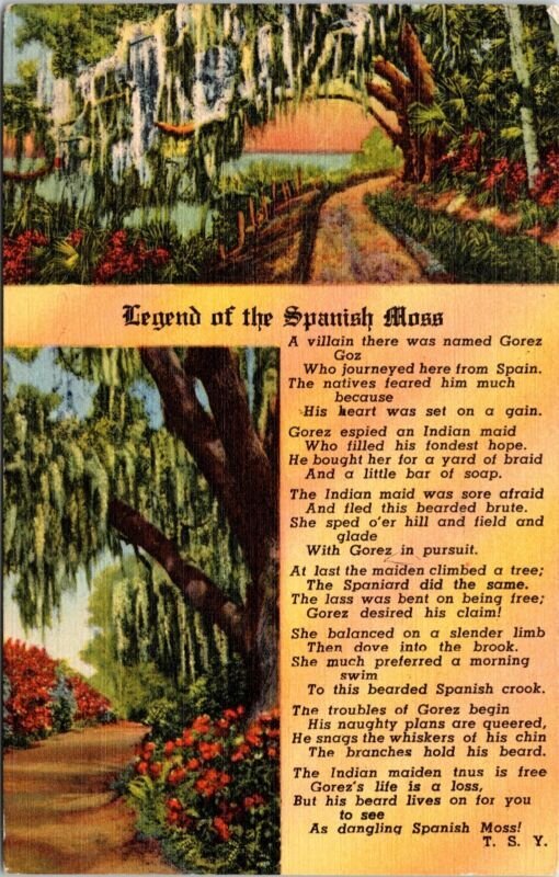 Historic Legend Of Spanish Moss Scenic Florida Linen Cancel WOB Postcard