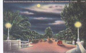 Florida Fort Lauderdale Beautiful Palm Lined Las Olas Boulevard By Moonlight