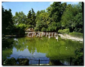 Postcard Modern Olonzac Herault Municipal Park Bassin aux Cygnes