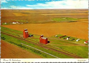 Canada Saskatchewan Breadbasket Of The World Harvest Time