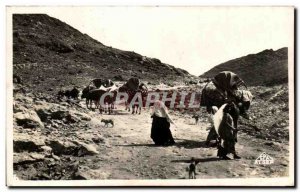 Old Postcard Tunisia Scenes And Types Caravan Nomads