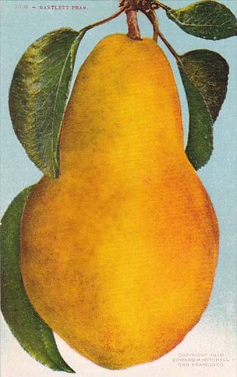 Bartlett Pear Fruit by Edward Mitchell