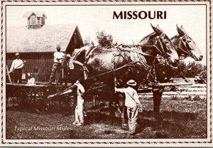 Missouri Exageration Typical Missouri Mules