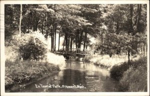 Fremont Michigan MI Tourist Park Bridge Real Photo Vintage Postcard