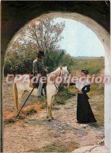 Postcard Modern Colors and Light of Camargue in France