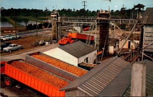 California Orange Juice Concentrate Processing Plant