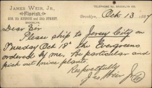 James Weir Jr Florist 5th Ave & 25th Brooklyn NY Postal Card 1884