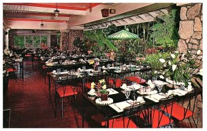 Waioli Tea Room Lanai Dining Room Manoa Valley Hawaii Postcard