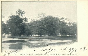 PC CPA LAOS, INDOCHINA, LA FORÉT NOYÉE OU LE MÉ KONG, (b23381)