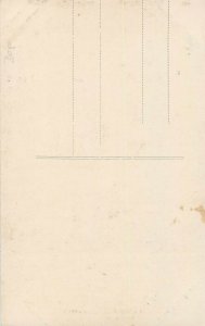 Napoleon saluting the conquered flags 