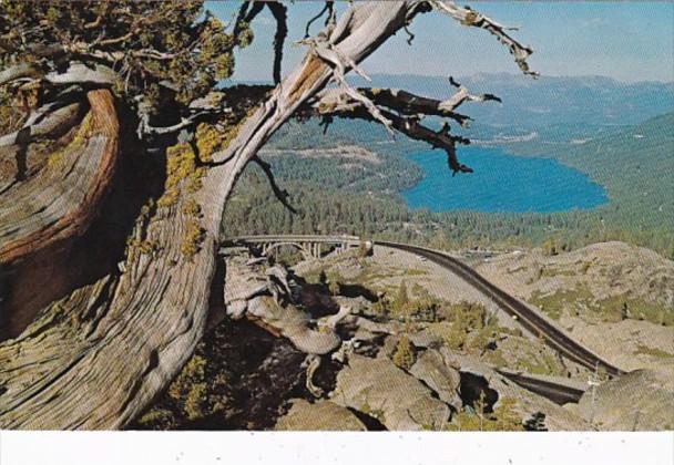 California Donner Lake From Donner Summit