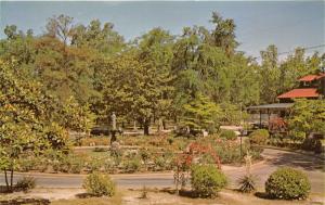 Goldsboro North Carolina~Herman Park~Beautiful Spring Flowers~Statue in Pond~60s