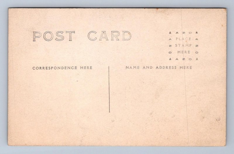 RPPC PARADE FLOAT FLAG BARNUM & BAILEY CIRCUS CIGARS ILLINOIS PHOTO POSTCARD