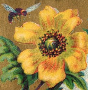 1880s Bargains San Francisco, CA Shoe Store Bee & Flower F115