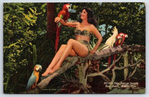 Parrot Jungle Red Road Miami Florida FL, Girl Swimsuit Vintage 1951 Postcard