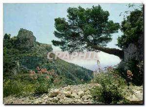 Postcard Modern Colors and light of France The French Riviera miracle of natu...