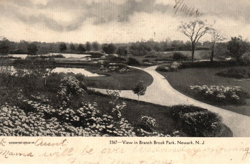 Vintage Postcard 1906 View In Branch Brook Park Landscapes Newark New Jersey NJ