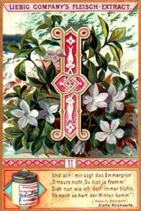 Liebig Trade Card S526 Flowers &  Initials No 2 I Immergruen