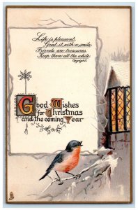 c1910's Christmas Song Bird House Window Embossed Tuck's Antique Postcard