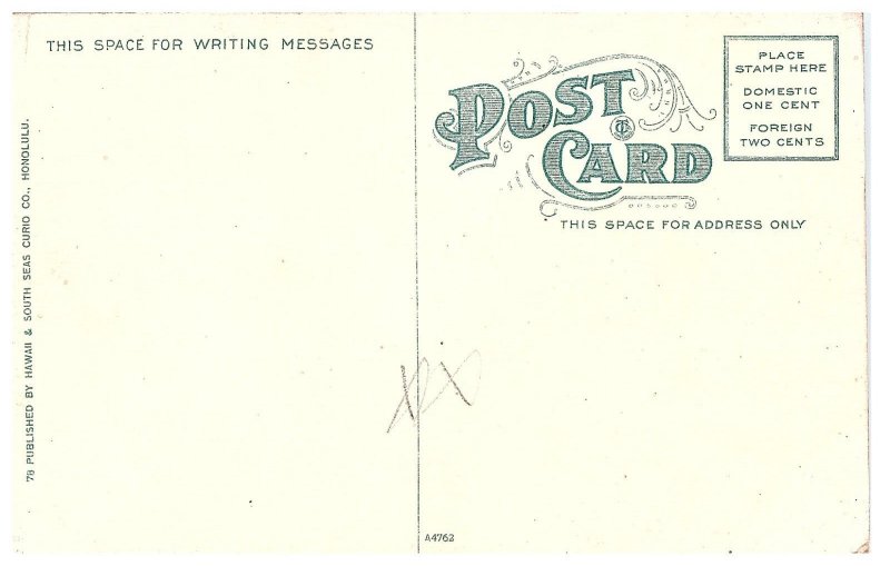 Cutting Sugar Cane in the Fields Honolulu Hawaii Postcard