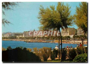 Modern Postcard Cannes Part of the Croisette view taken from the gardens of t...