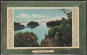 New Zealand Postcard Lot of 7 Postcards