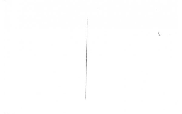 Street Scene Dunedin, Florida