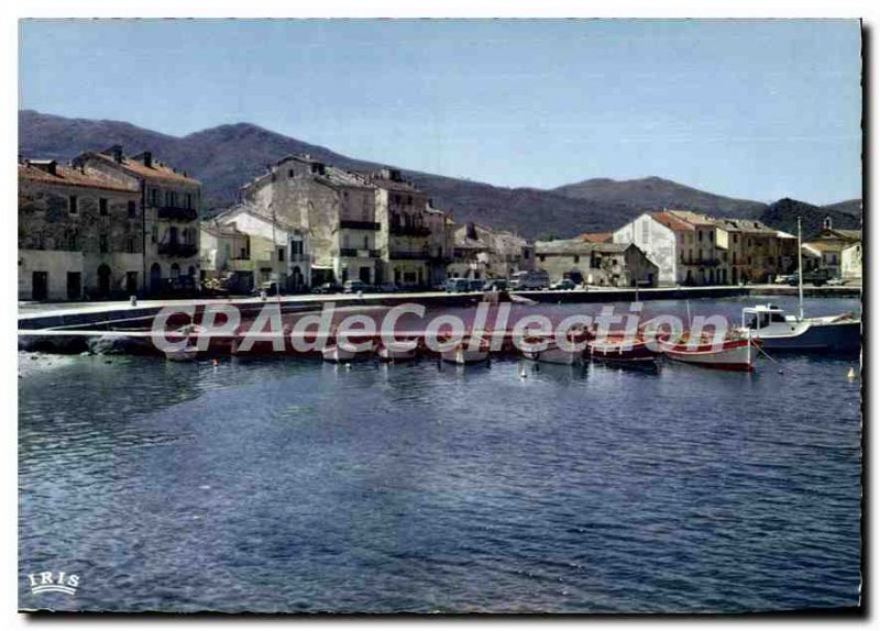 Postcard Modern Maccinaggio Le Petit Port