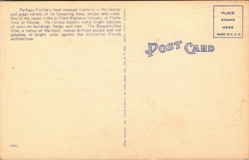 Vtg 1930s Flame Vine & Purple Bougainvillea in Florida FL Unused Linen Postcard