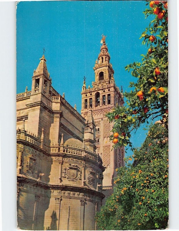 Postcard Cathedral (detail), Seville, Spain