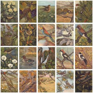 Swiss artist 20 postcards set birds related Switzerland