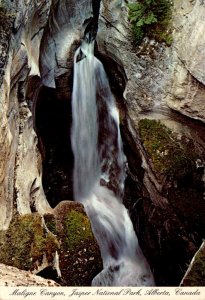 Canada Alberta Jasper National Park Maligne Canyon