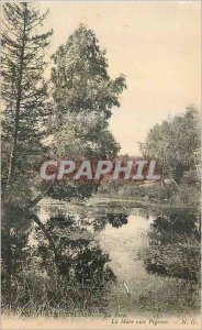Old Postcard Fontainebleau La Foret La Mare aux Pigeons