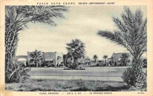 Peach Auto Court Motel US 80 Palms Orange Groves Yuma Arizona postcard