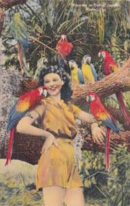 BIrds Beautiful Girl Holding Macaws Parrot Jungle Miami Florida 1943 Curteich