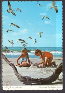 Seagulls and Sand Castles,FL BIN