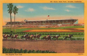 Los Angeles Turf Club Santa Anita Park Arcadia Ca. Postcard 2R3-563