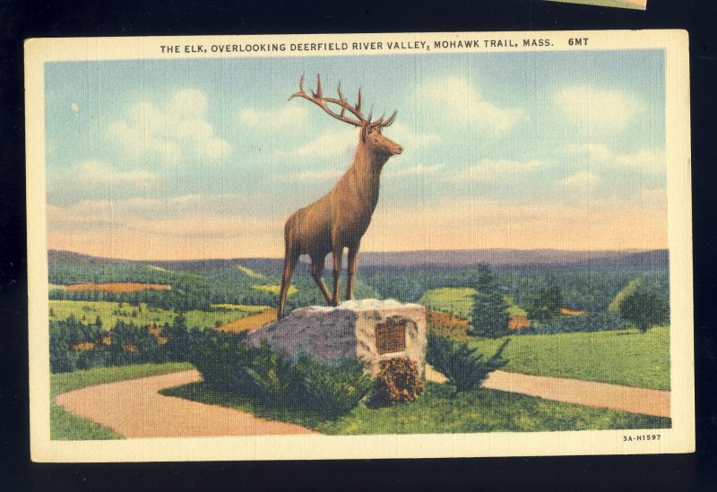 Deerfield River Valley, Massachusetts/MA Postcard, The Elk At Whitfield Summit