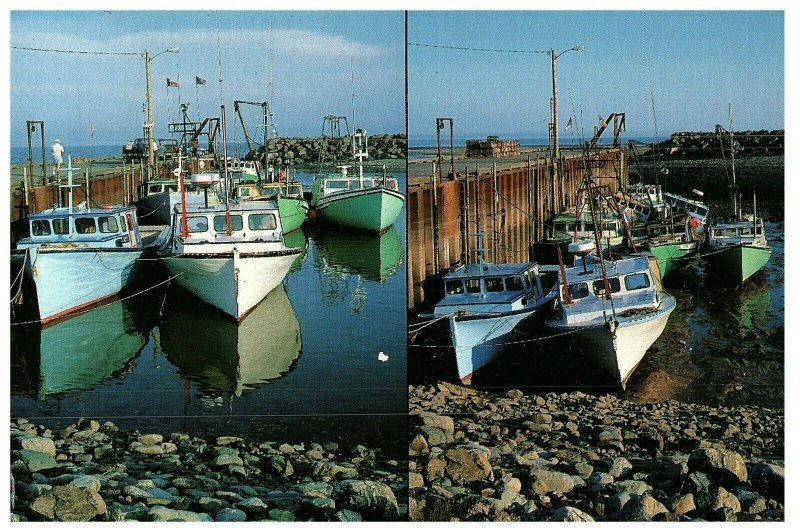 Alma Wharf Stranded Lobster Boats Low Tide Fishing Canada Postcard 1996