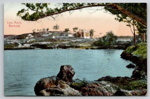 Bermuda Lion Rock Postcard B46