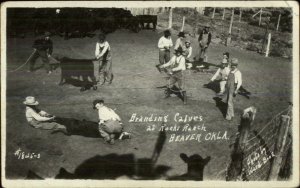 Beaver OK Branding Calves at Rocks Ranch c1910 Real Photo Postcard xst