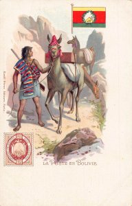 Bolivia Poste en Bolivie Native Boy Ethnic Camel Stamp Flag postcard B908
